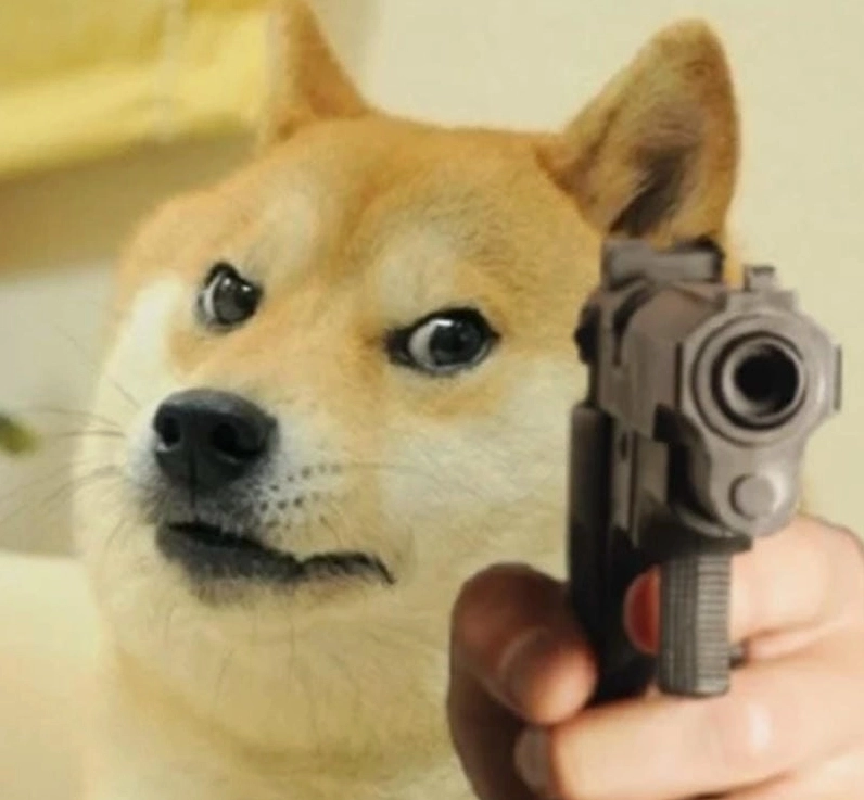 Meme chó cute với biểu cảm ngơ ngác đầy hài hước