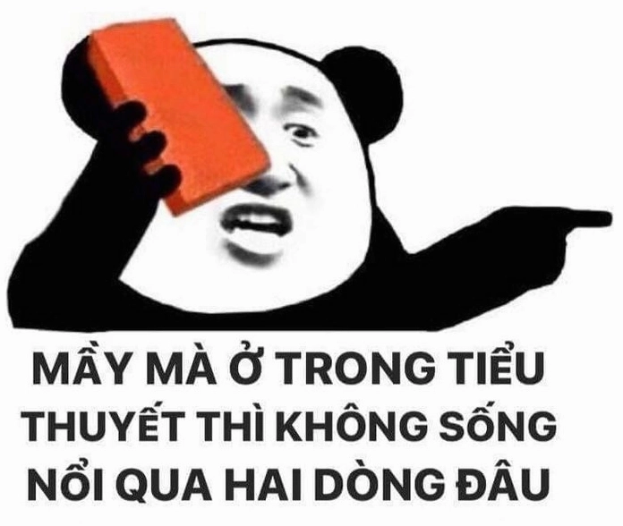 Meme con gấu đáng yêu với biểu cảm bối rối và hoang mang