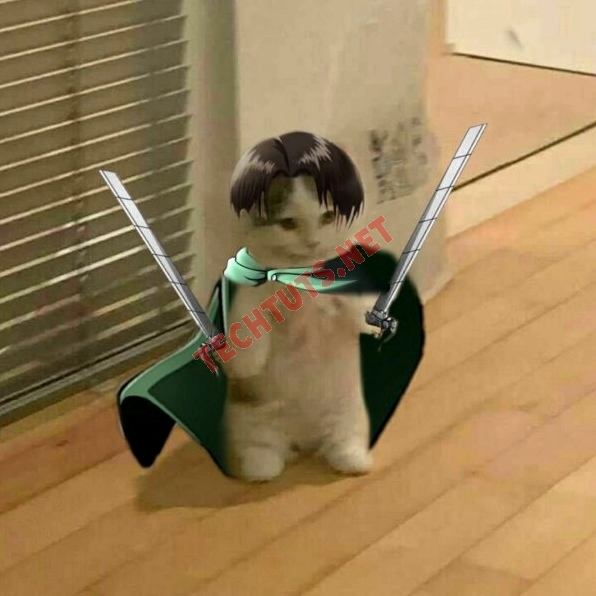 Meme con mèo cầm dao với thái độ dứt khoát