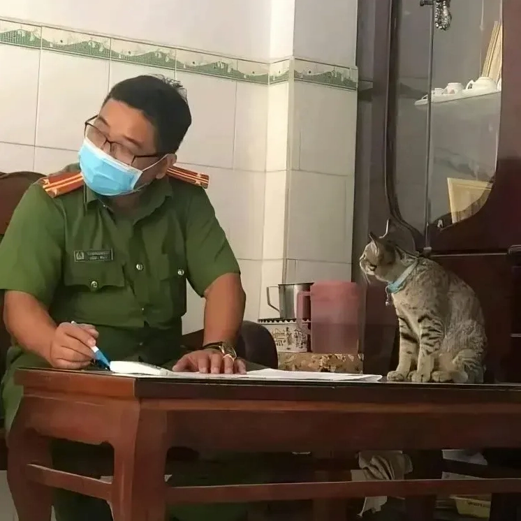 Bộ sưu tập ảnh meme công an hài hước và giải trí khó quên 5 Meme công an đang trong tư thế sẵn sàng hành động