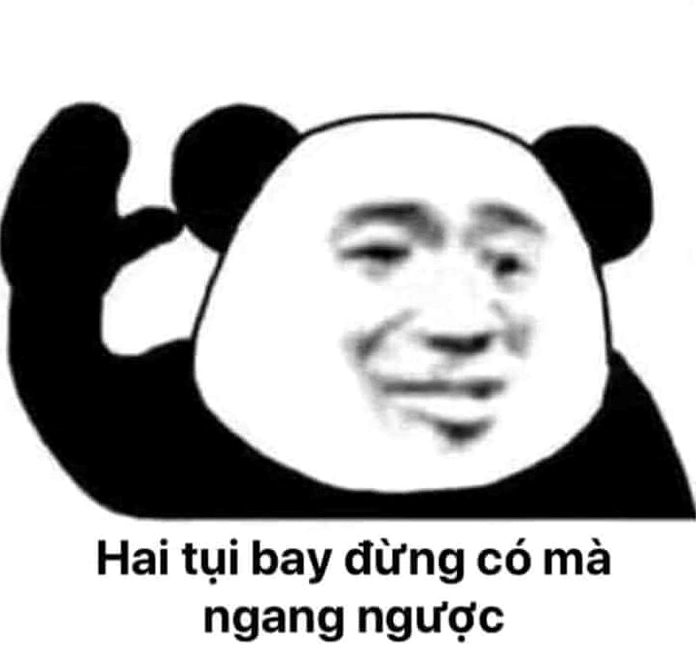 Meme gấu hài hước với gương mặt bất ngờ đầy biểu cảm