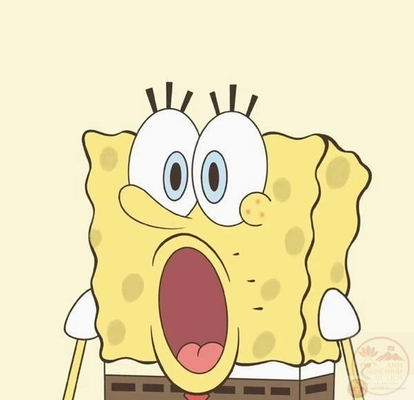 Meme há mồm biểu cảm hài hước của động vật