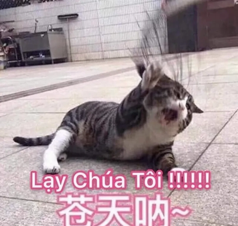 Bộ Sưu Tập Ảnh Meme Lạy Cực Đỉnh Khó Đỡ Cười Rụng Rốn 19 Meme hài hước dành riêng cho tuổi học sinh với biểu cảm lạy
