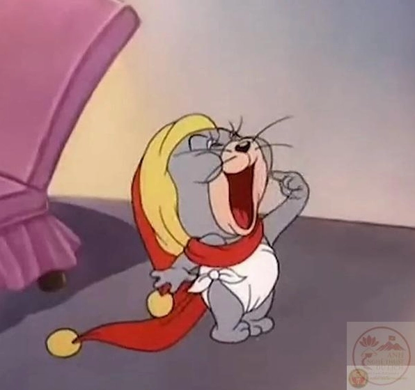 Meme kinh ngạc của một chú mèo đang há mồm