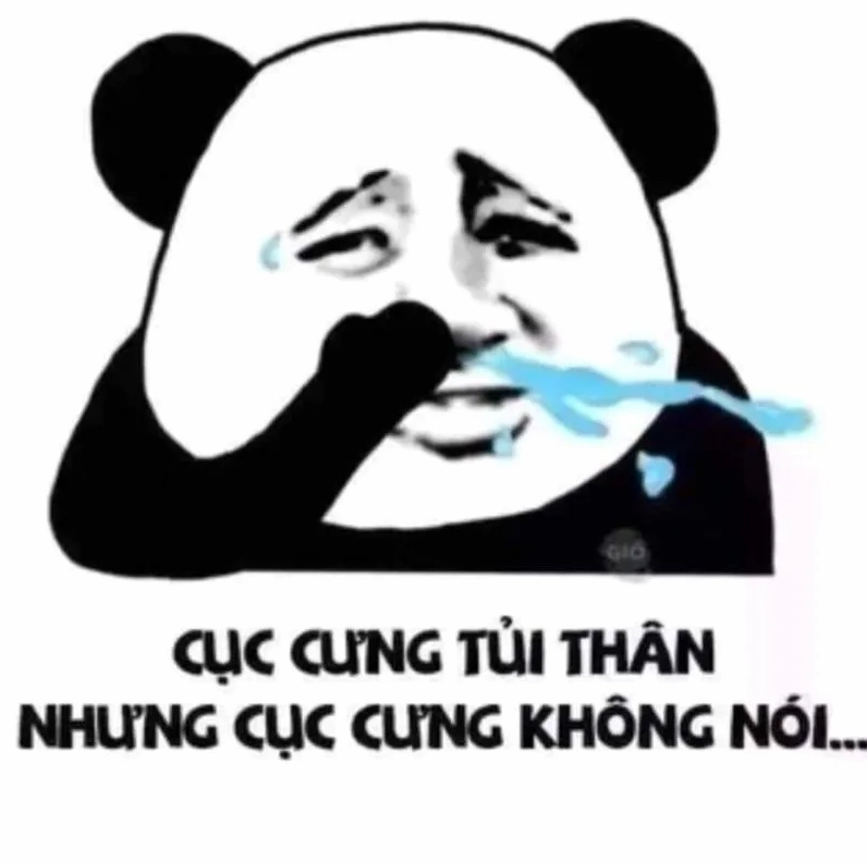 Cận cảnh bộ ảnh meme trung quốc cười rụng rốn của dân mạng Việt 12 Meme mèo béo trung quốc hài hước và đáng yêu