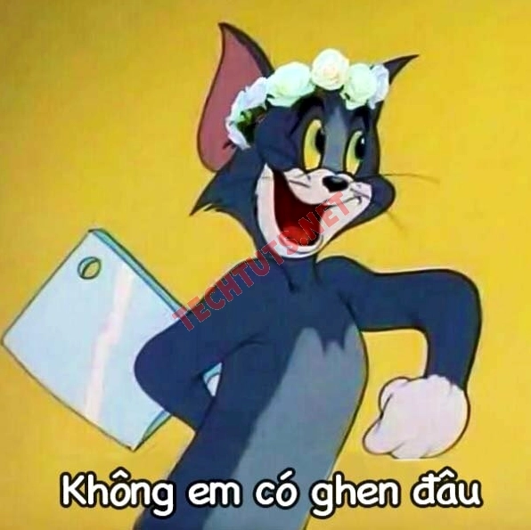 Meme mèo cầm dao với ánh mắt ranh mãnh
