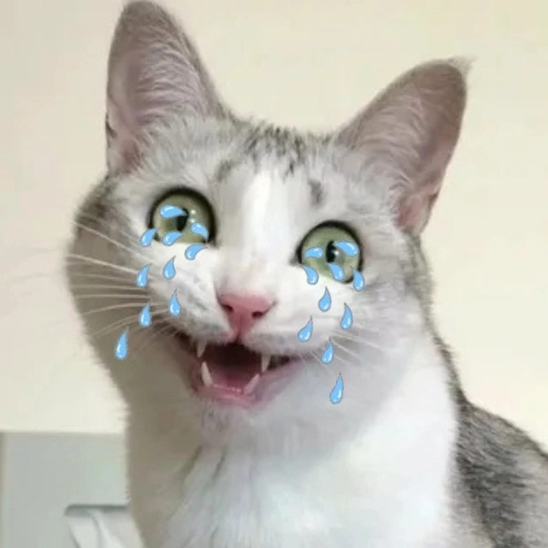 Meme mèo khóc buồn đầy tâm trạng và cảm xúc