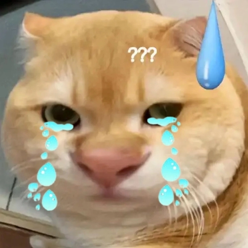 Meme mèo khóc cute đáng yêu đến rơi nước mắt