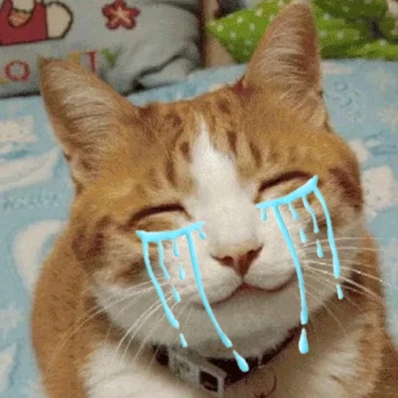 Meme mèo khóc like siêu đáng yêu