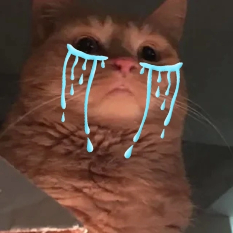 Meme mèo khóc với đôi mắt buồn rười rượi khiến ai cũng tan chảy