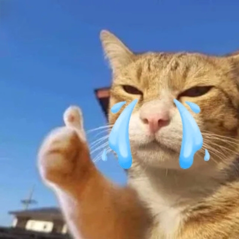 Meme mèo like khóc siêu deep