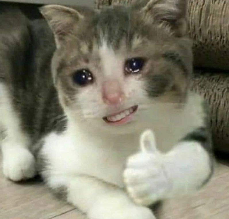 Meme mèo ok với ánh mắt long lanh và nụ cười mãn nguyện