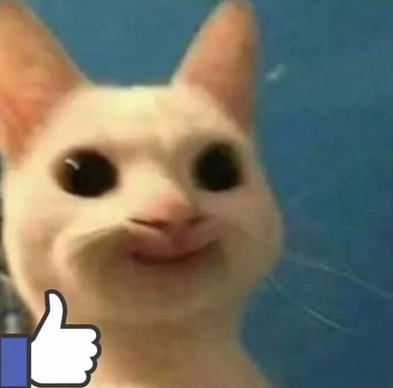 Meme mèo thả like cực chất với vẻ mặt lạnh lùng