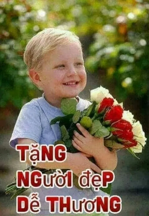 Mèo dâng hoa hồng với phong thái vô cùng lãng mạn