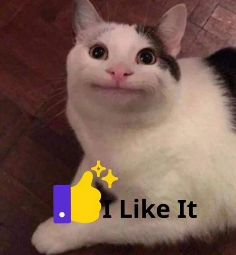 Mèo meme like đáng yêu hết nấc với đôi mắt to tròn