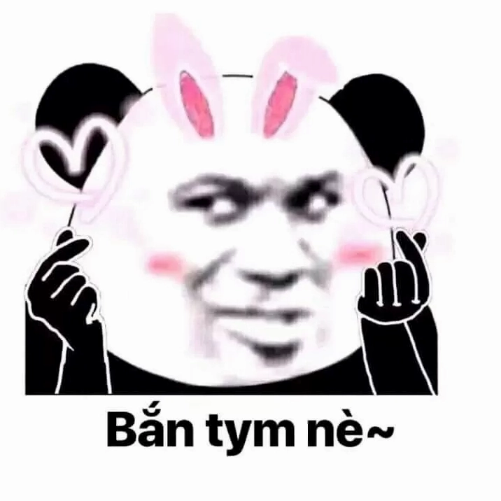 Panda meme bựa đòi hỏi sự chú ý