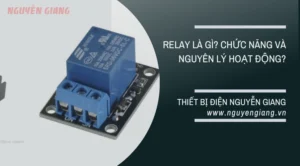 ro le la gi khai niem cau tao va ung dung chi tiet 443