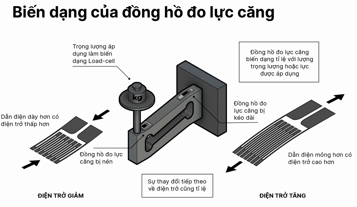 Sự biến dạng của đồng hồ đo lực căng trên load cell