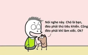 top 16 anh meme tu choi hai huoc dinh cao gay bao cong dong 466