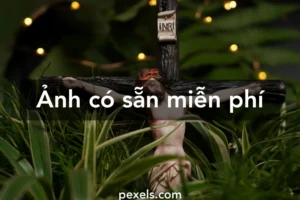 top 16 hinh nen chua giesu tuyet dep lam bung sang tam hon b 233