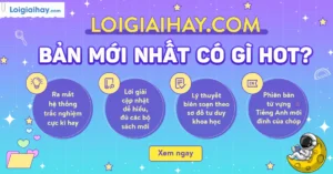 tu ke la gi dinh nghia va giai thich chi tiet tu ngu 383