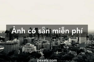 tuyet dinh bo suu tap hinh nen trang den doc dao va thu hut 615