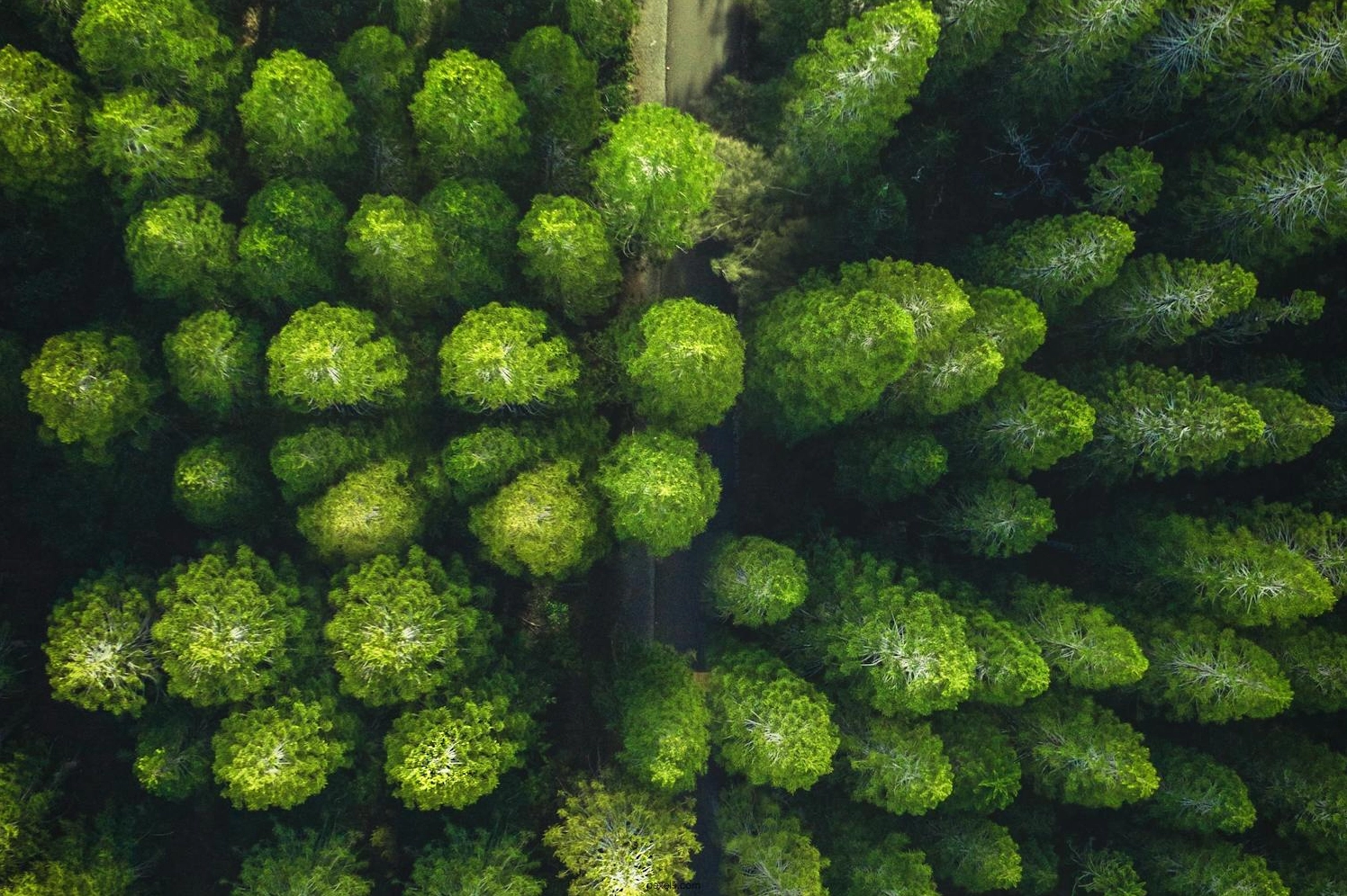 Bộ Sưu Tập Ảnh Gái Xinh Full HD Đẹp Mê Hồn Ngắm Nhìn Cả Ngày 5 Vẻ đẹp tự nhiên của cảnh vật kết hợp cùng ảnh gái xinh full HD