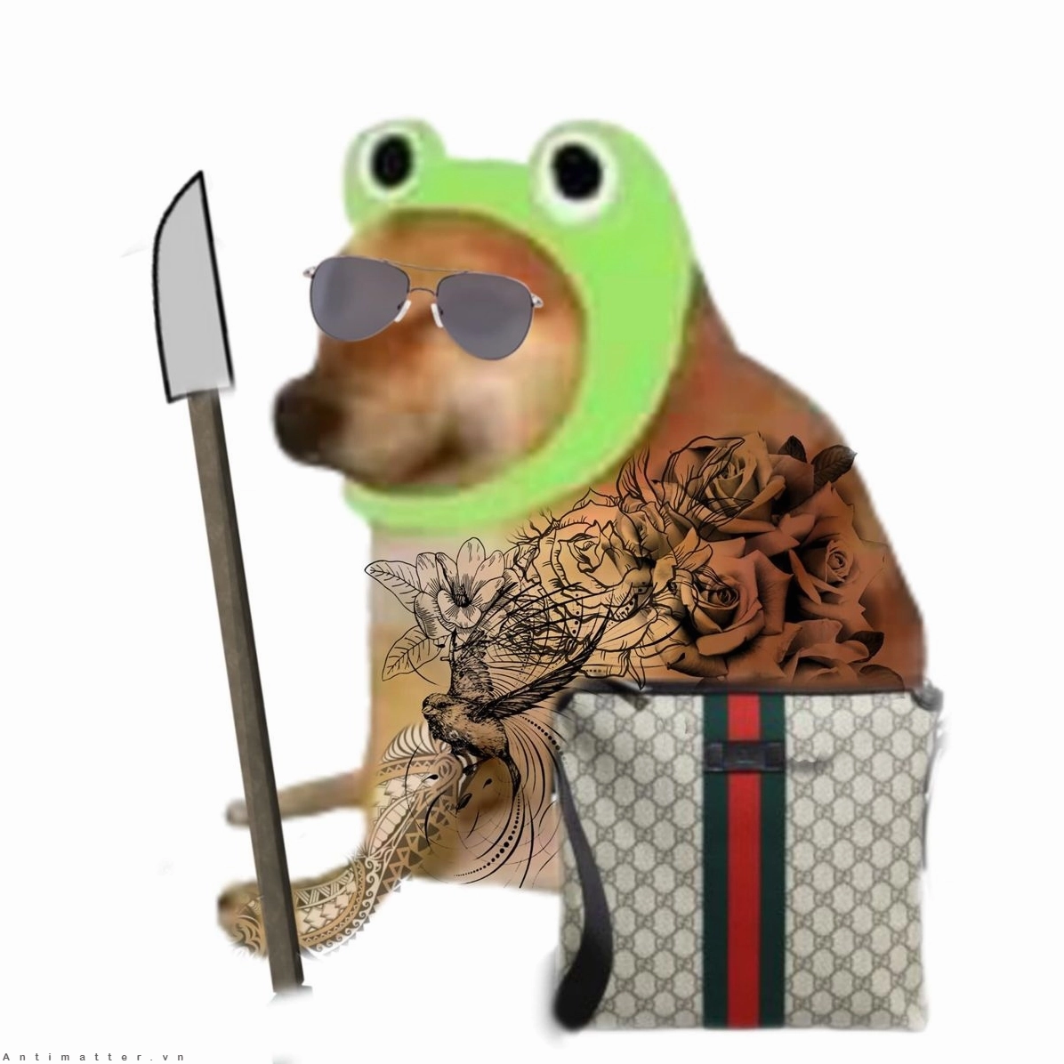 xạo chó meme ánh mắt ngờ vực