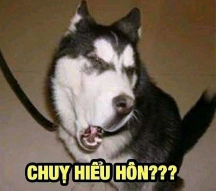 xạo chó meme mưu mô
