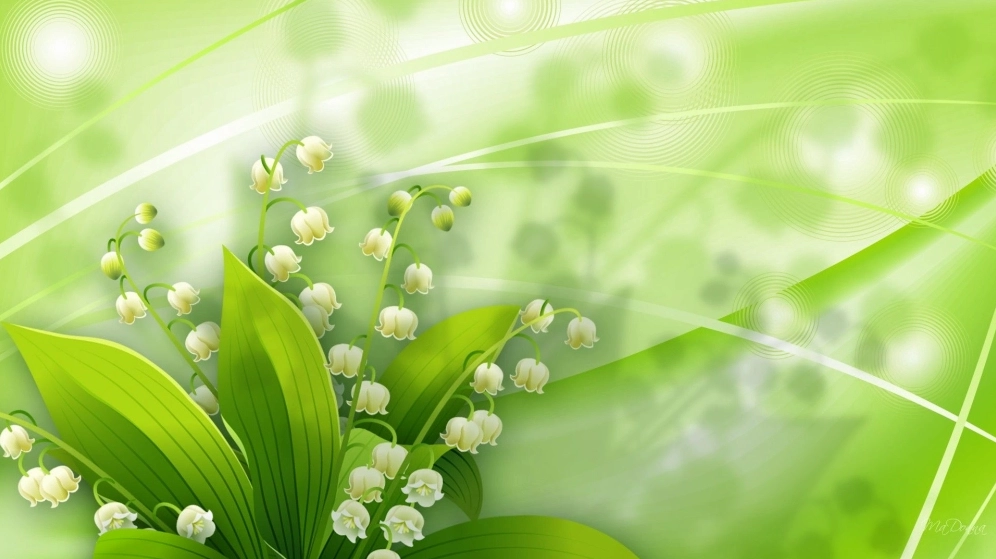Ảnh bìa hoa linh lan tinh tế và trang nhã lôi cuốn
