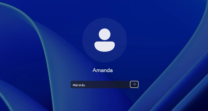 Ảnh Đăng nhập Cục bộ