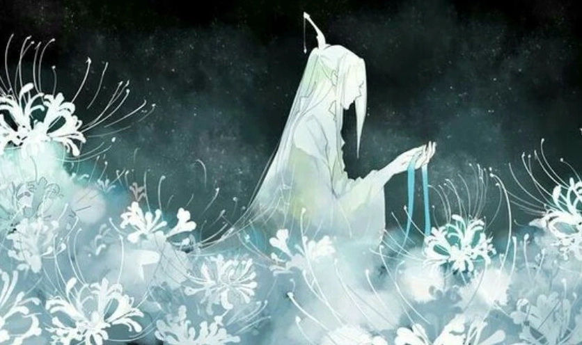 Ánh nhìn u sầu nhưng thấu tận tâm can của bỉ ngạn hoa trắng