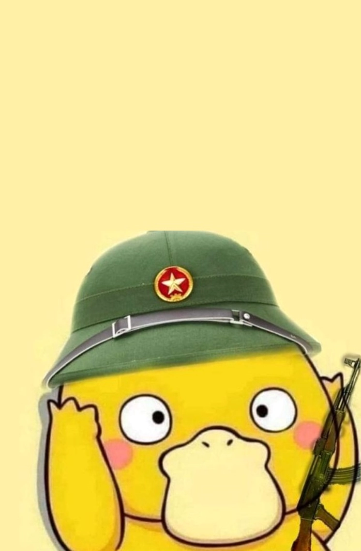 Ảnh vịt meme chú bồ đội nghiêm trang