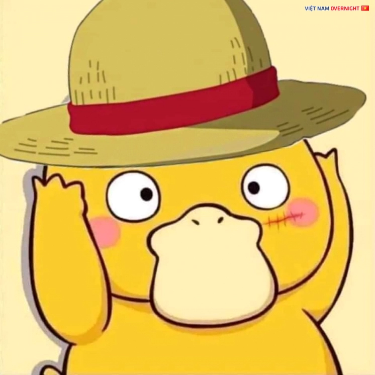 Ảnh vịt meme Luffy hải tặc