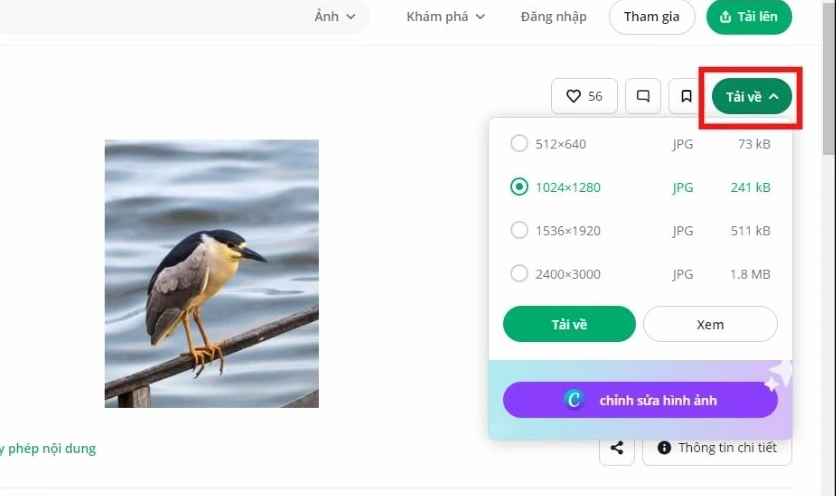 Bấm tải ảnh về máy