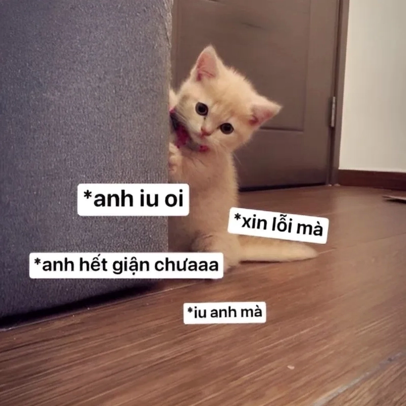 Bắt trend ngay với chiếc meme anh xin lỗi siêu nhiều cảm xúc