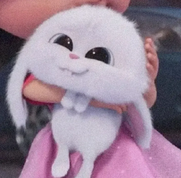 Biểu cảm hoang mang tột độ của thỏ snowball meme 20