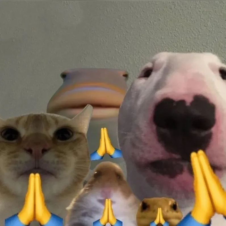 Bộ sưu tập 30 ảnh meme lạy siêu hài hước cực bựa cho dân mạng 14 Biểu cảm quỳ lạy trước tình huống trời ơi đất hỡi