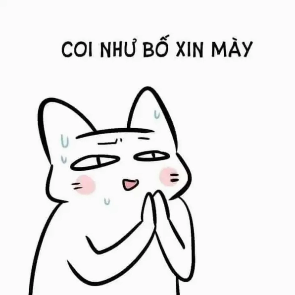 Bộ sưu tập 30 ảnh meme lạy siêu hài hước cực bựa cho dân mạng 2 Biểu cảm quỳ lạy van xin vô cùng hài hước và lầy lội