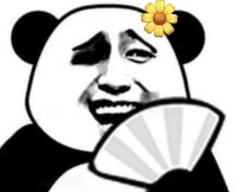 bo suu tap 30 meme gau truc hai huoc bua nhat nam 2026 843