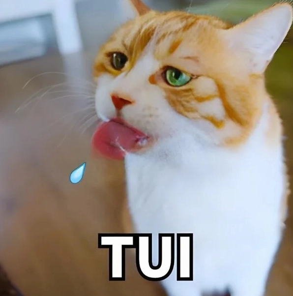 bo suu tap 30 meme khinh bi cuc gat khien ai cung bat cuoi 377