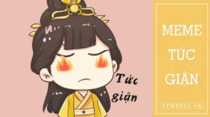 bo suu tap 30 meme tuc gian hai huoc va de thuong nhat 839