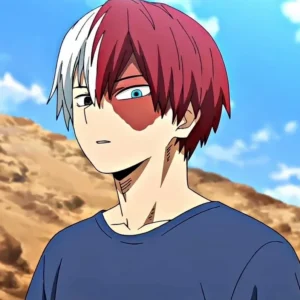 bo suu tap anh anime shoto todoroki ngau loi sac net nhat 20 731
