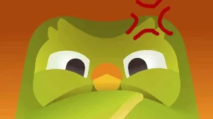 bo suu tap anh duolingo meme ba dao khien ban cuoi nghieng n 434