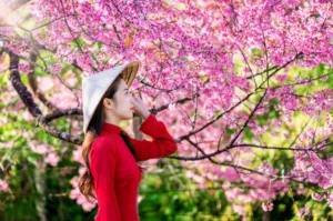 bo suu tap anh gai dep ngay xuan quyen ru cuon hut anh nhin 384