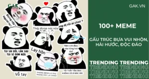 bo suu tap anh meme gau truc bua hai huoc nhat hien nay 940