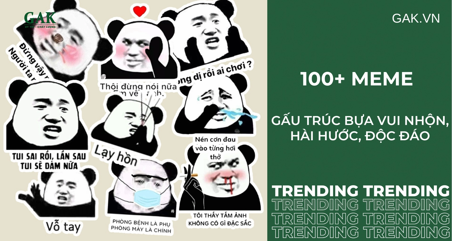 bo suu tap anh meme gau truc bua hai huoc nhat hien nay 940