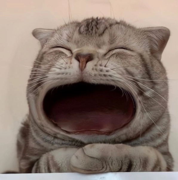 Bộ sưu tập meme há mồm hài hước nhất khiến bạn không thể nhịn cười 19 Bộ sưu tập ảnh meme há miệng khiến dân mạng rụng rời
