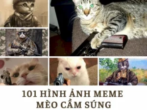 bo suu tap meme cam sung cuc ngau va hai huoc nhat nam 2026 803