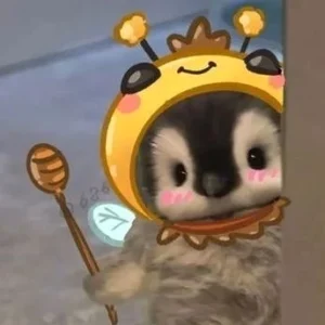 bo suu tap meme chim canh cut tau hai sieu lay loi cuc man 537